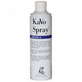 Kavo Spray w/o Nozzle