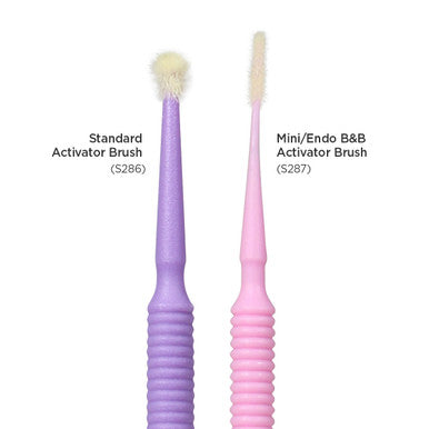 Brush & Bond