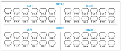 3M Stainless Steel Primary Molar Crowns